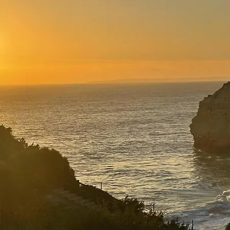 Estrela Mar